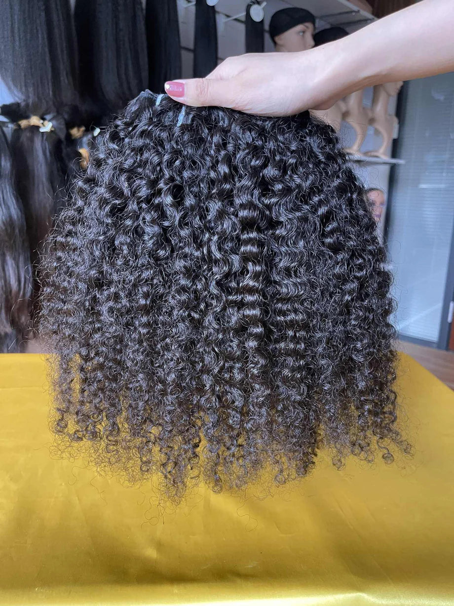 Burmese Curl